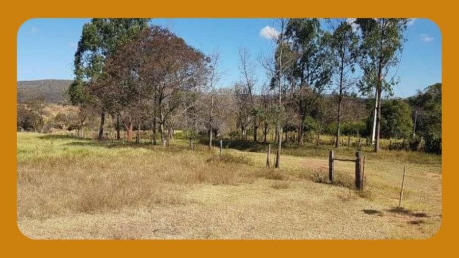 Foto 1 de 2: Area Rural em leilão em Belo Horizonte - MG — 1.098,68 HECTARES DE TERRAS, NO LOCAL DENOMINADO FAZENDA RIACHO FUNDO, CHAPADA GAÚCHA/MG.  __