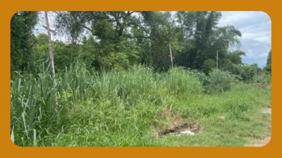 Foto 1 de 2: Terreno em leilão em Nova Iguaçu - RJ, bairro Austin — LOTE DE TERRENO 06 DA QD. 1 NA RUA CINCO DO LOTEAMENTO CARLOS SAMPAIO, AUSTIN, NOVA IGUAÇU/RJ, COM ÁREA TOTAL DE APROXIMADAMENTE 720M² --