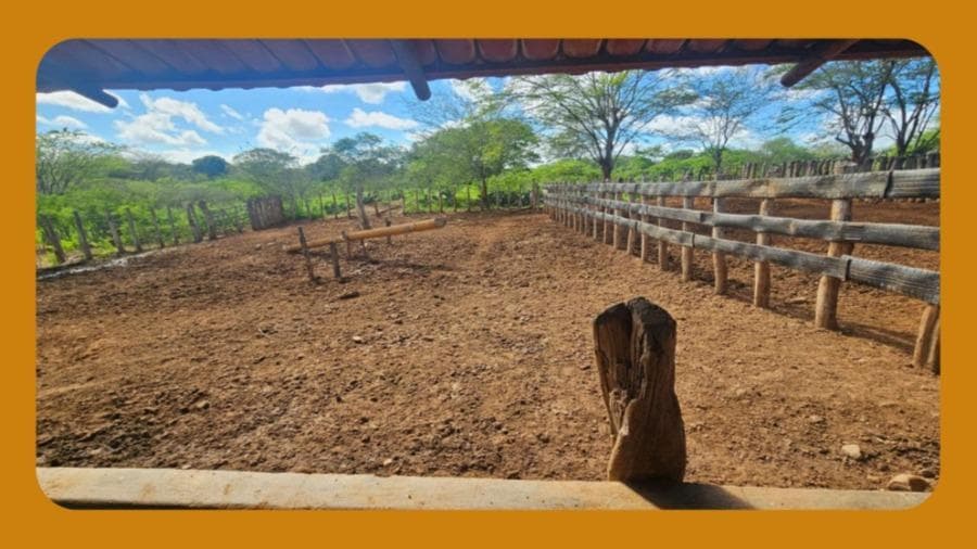 Foto 4 de 10: Area Rural em leilão em São João Do Cariri - PB — IMÓVEL RURAL DENOMINADO MARACAJÁ E SANTANA, FORMANDO UM SÓ CONJUNTO DENOMINADO ¿MARACAJÁ¿, ÀS MARGENS DA BR-412, SÃO JOÃO DO CARIRI/PB. COM ÁREA REGISTRADA DE APROXIMADAMENTE 400 HECTARES E DIVERSAS BENFEITORIAS.__