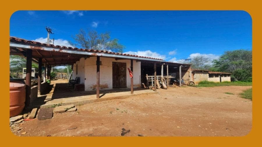 Foto 6 de 10: Area Rural em leilão em São João Do Cariri - PB — IMÓVEL RURAL DENOMINADO MARACAJÁ E SANTANA, FORMANDO UM SÓ CONJUNTO DENOMINADO ¿MARACAJÁ¿, ÀS MARGENS DA BR-412, SÃO JOÃO DO CARIRI/PB. COM ÁREA REGISTRADA DE APROXIMADAMENTE 400 HECTARES E DIVERSAS BENFEITORIAS.__