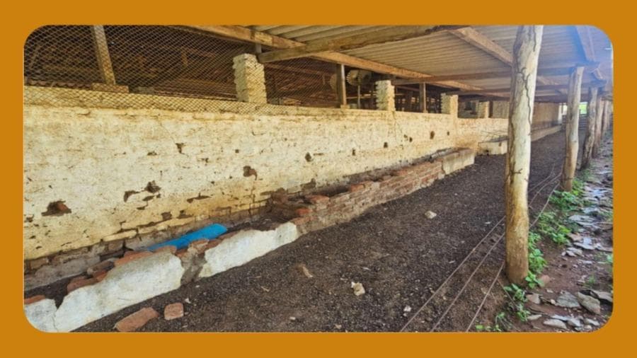Foto 7 de 10: Area Rural em leilão em São João Do Cariri - PB — IMÓVEL RURAL DENOMINADO MARACAJÁ E SANTANA, FORMANDO UM SÓ CONJUNTO DENOMINADO ¿MARACAJÁ¿, ÀS MARGENS DA BR-412, SÃO JOÃO DO CARIRI/PB. COM ÁREA REGISTRADA DE APROXIMADAMENTE 400 HECTARES E DIVERSAS BENFEITORIAS.__