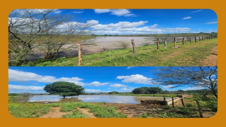 Foto 9 de 10: Area Rural em leilão em São João Do Cariri - PB — IMÓVEL RURAL DENOMINADO MARACAJÁ E SANTANA, FORMANDO UM SÓ CONJUNTO DENOMINADO ¿MARACAJÁ¿, ÀS MARGENS DA BR-412, SÃO JOÃO DO CARIRI/PB. COM ÁREA REGISTRADA DE APROXIMADAMENTE 400 HECTARES E DIVERSAS BENFEITORIAS.__