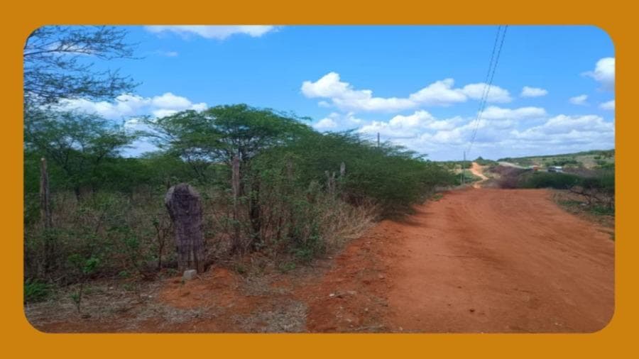 Foto 1 de 2: Area Rural em leilão em Ouricuri - PE — UMA PARTE DE TERRA, LOCALIZADA NA FAZENDA TANQUE NOVO, SITUADO NA MARGEM ESQUERDA DA RODOVIA BR-316 (SENTINDO OURICURI-TRINDADE), OURICURI/PE, MEDINDO 10,00 HECTARES__