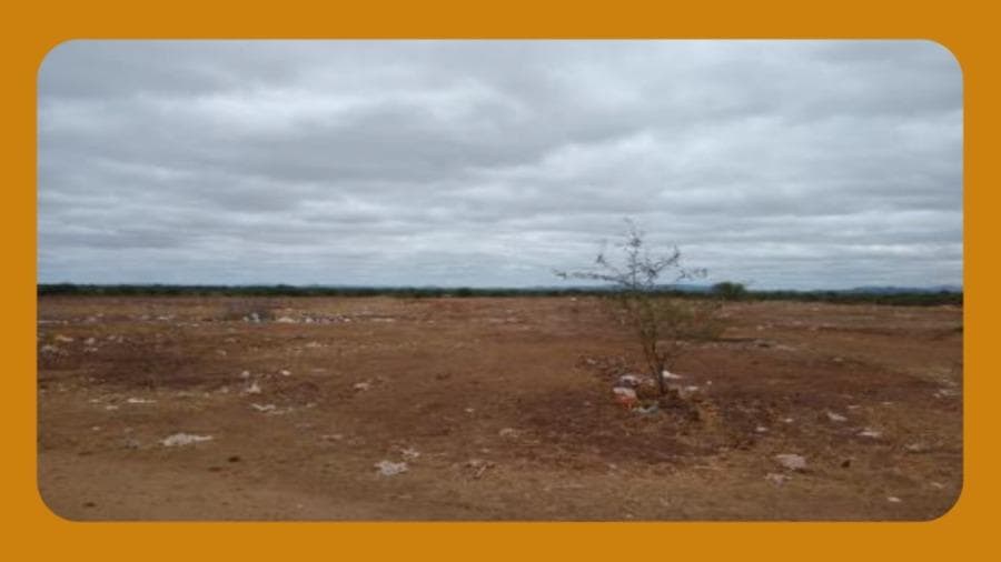 Foto 1 de 2: Terreno em leilão em Sousa - PB, bairro Centro — LOTE DE TERRENO Nº 04, DA QUADRA 06, DO LOTEAMENTO LAGOA DOS PATOS II, EM SOUSA/PB, COM ÁREA DE 150 M², SEM CONSTRUÇÕES.__