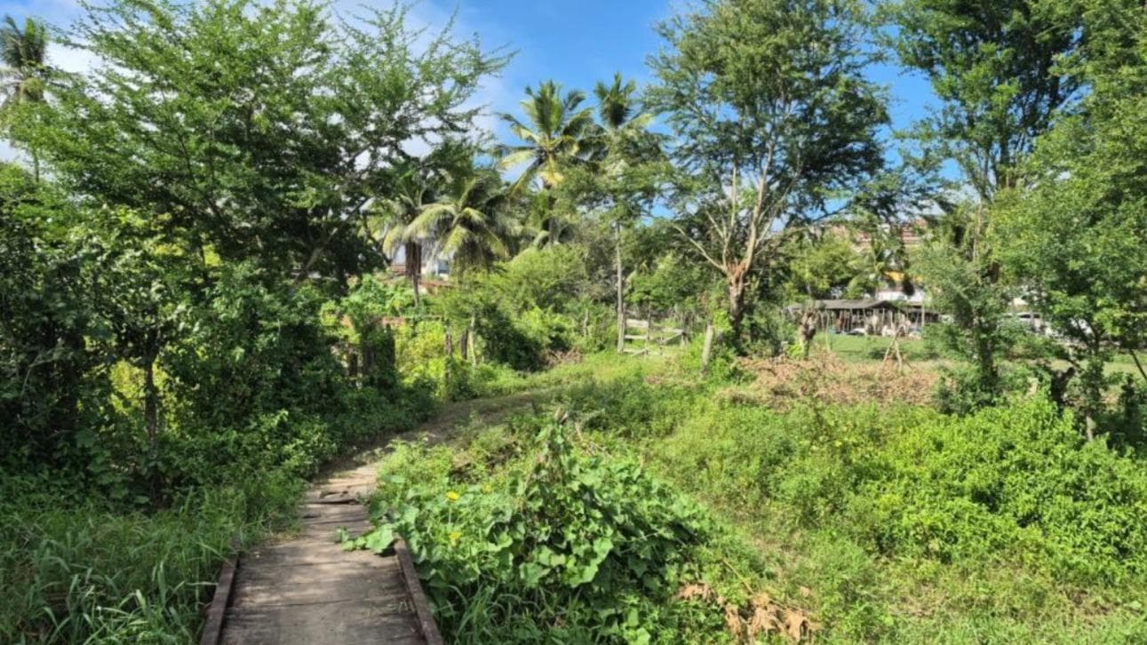 Foto 1 de 3: Terreno em leilão em Timbaúba - PE, bairro Centro — Terreno, A.T.: 4.180m², Timbaubinha, Timbaúba/PE