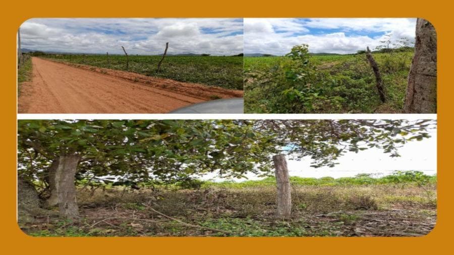 Foto 2 de 3: Area Rural em leilão em Girau Do Ponciano - AL — IMÓVEL RURAL DENOMINADO MATA D¿ ÁGUA, NO MUNICIPIO DE GIRAU DO PONCIANO/AL. COM ÁREA DE 5,1532 HA.  __