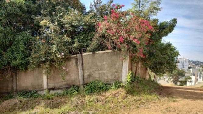 Terreno em leilão em Itaperuna - RJ — Terreno com 720m², Cidade Nova, Itaperuna/RJ