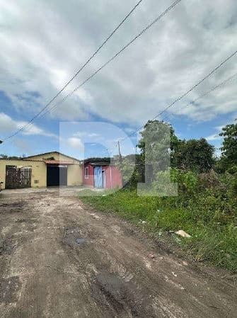 Foto 8 de 11: Casa em leilão em Itanhaém - SP — Jamaica (Interior) - Itanhaém - SP - Casa - 100,00 m² (a.c.) e 250,00 m² (a.t.)