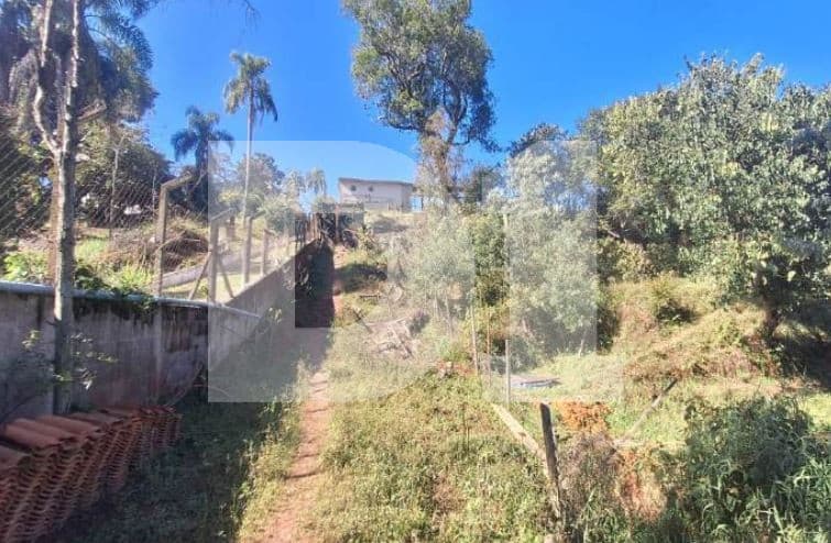 Foto 13 de 16: Area Rural em leilão em São Roque - SP, bairro Do Carmo — Do Carmo (Canguera) - São Roque - SP - Sitio - 27.261,00 m² (a.t.)