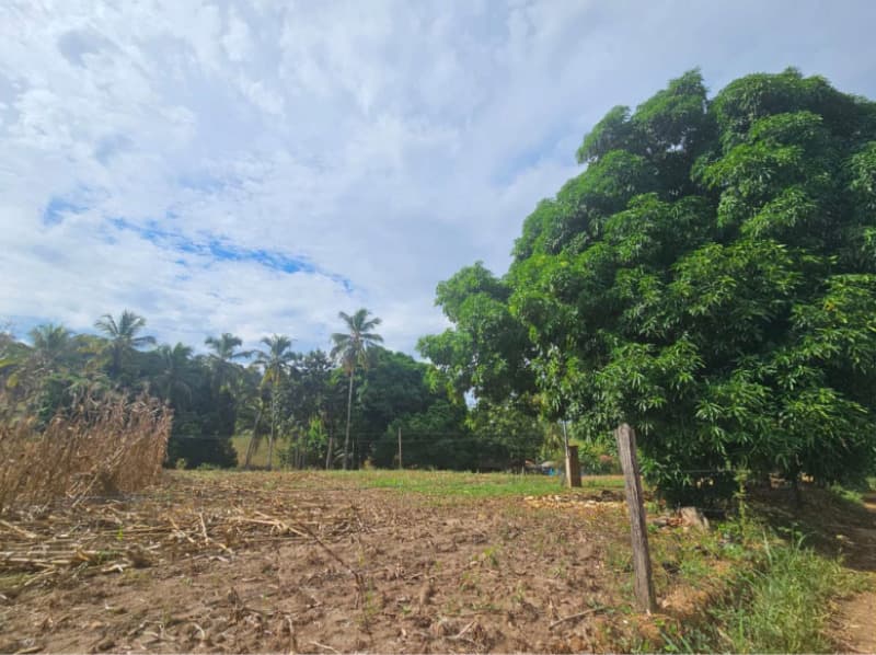 Foto 5 de 10: Area Rural em leilão em Alegre - ES — LOTE 001 Imóvel em Alegre-ES
