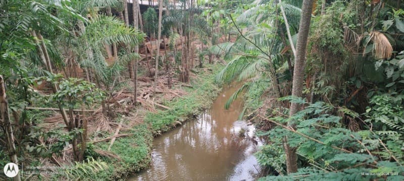 Foto 2 de 5: Area Rural em leilão em Iconha - ES — LOTE 021 Imóvel Rural, Ilha do Coco - Iconha-ES