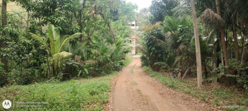 Foto 5 de 5: Area Rural em leilão em Iconha - ES — LOTE 021 Imóvel Rural, Ilha do Coco - Iconha-ES