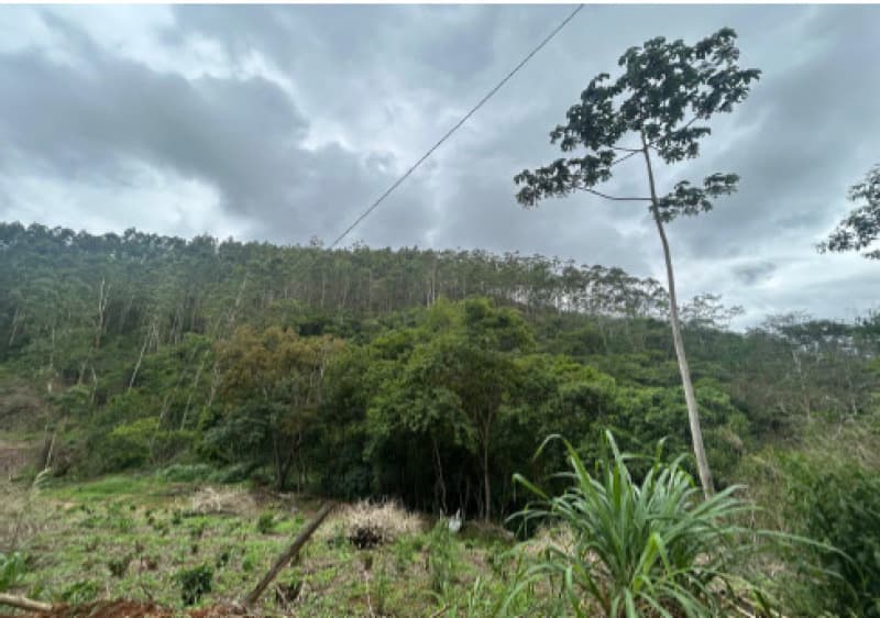 Foto 1 de 12: Terreno em leilão em Afonso Cláudio - ES — LOTE 001 Terreno com área de 423.707,70m²