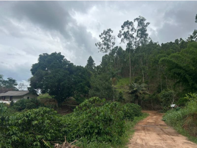 Foto 3 de 12: Terreno em leilão em Afonso Cláudio - ES — LOTE 001 Terreno com área de 423.707,70m²
