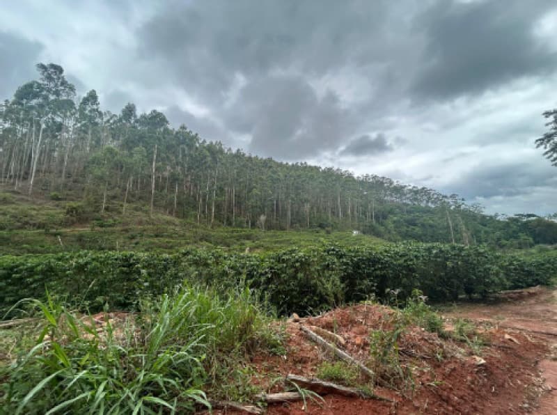 Foto 4 de 12: Terreno em leilão em Afonso Cláudio - ES — LOTE 001 Terreno com área de 423.707,70m²