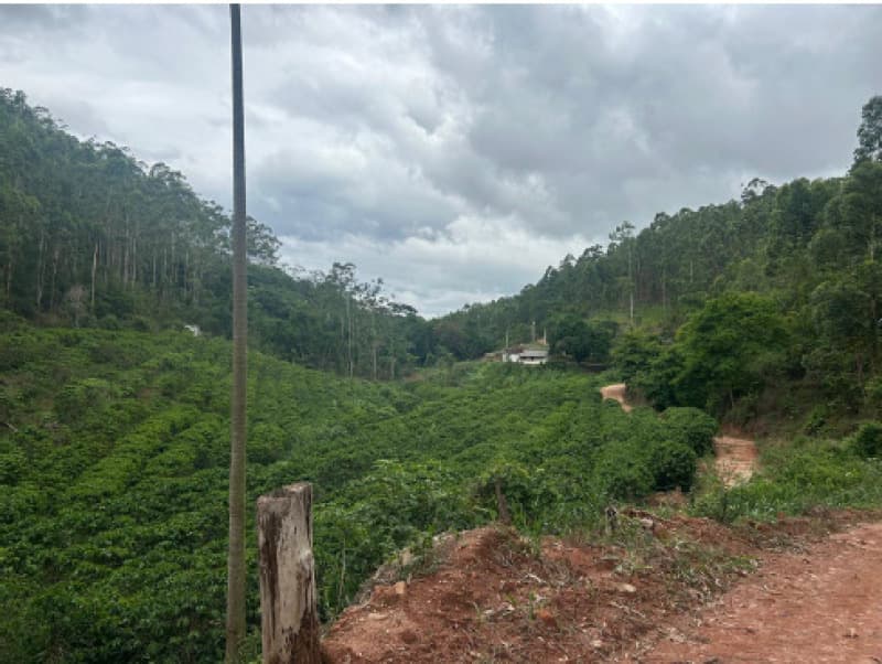 Foto 5 de 12: Terreno em leilão em Afonso Cláudio - ES — LOTE 001 Terreno com área de 423.707,70m²