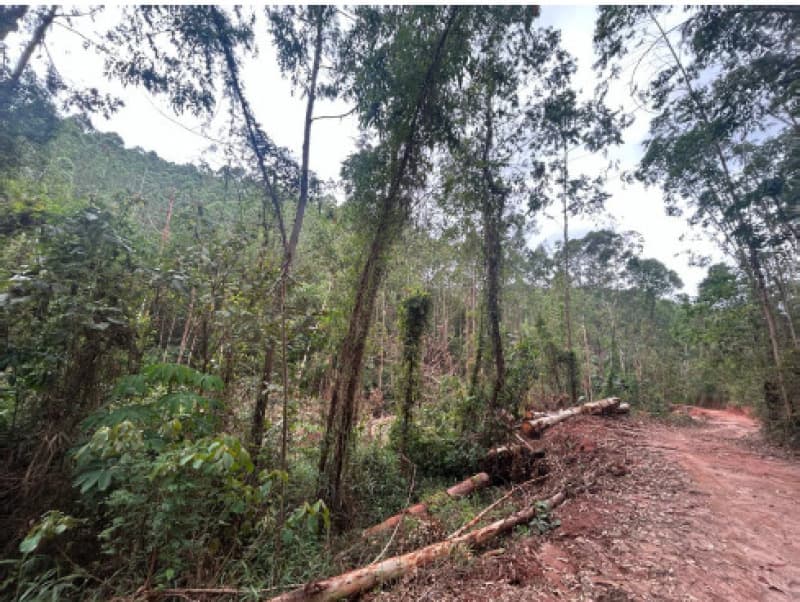 Foto 7 de 12: Terreno em leilão em Afonso Cláudio - ES — LOTE 001 Terreno com área de 423.707,70m²
