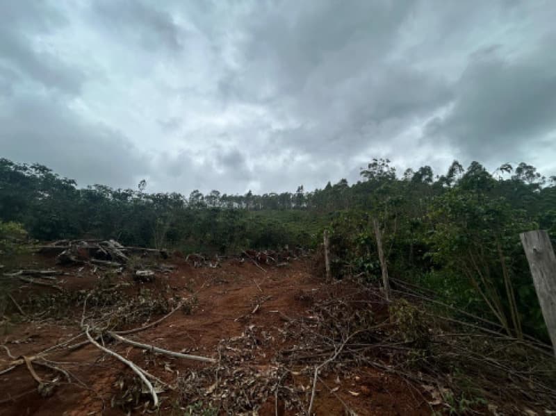 Foto 9 de 12: Terreno em leilão em Afonso Cláudio - ES — LOTE 001 Terreno com área de 423.707,70m²