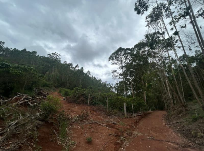 Foto 10 de 12: Terreno em leilão em Afonso Cláudio - ES — LOTE 001 Terreno com área de 423.707,70m²
