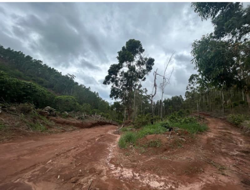 Foto 11 de 12: Terreno em leilão em Afonso Cláudio - ES — LOTE 001 Terreno com área de 423.707,70m²