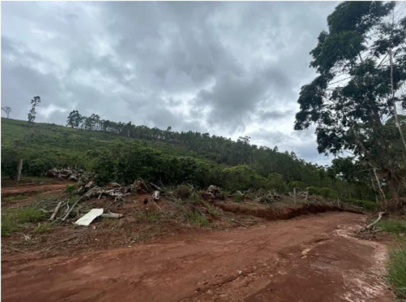 Foto 12 de 12: Terreno em leilão em Afonso Cláudio - ES — LOTE 001 Terreno com área de 423.707,70m²