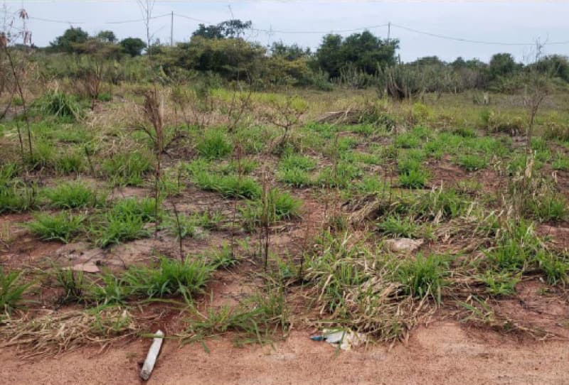 Foto 1 de 2: Terreno em leilão em Macaé - RJ — LOTE 001 Lotes n° 14 e 16 da Quadra 20 em Praias de São José do Barreto