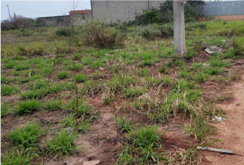 Foto 2 de 2: Terreno em leilão em Macaé - RJ — LOTE 001 Lotes n° 14 e 16 da Quadra 20 em Praias de São José do Barreto