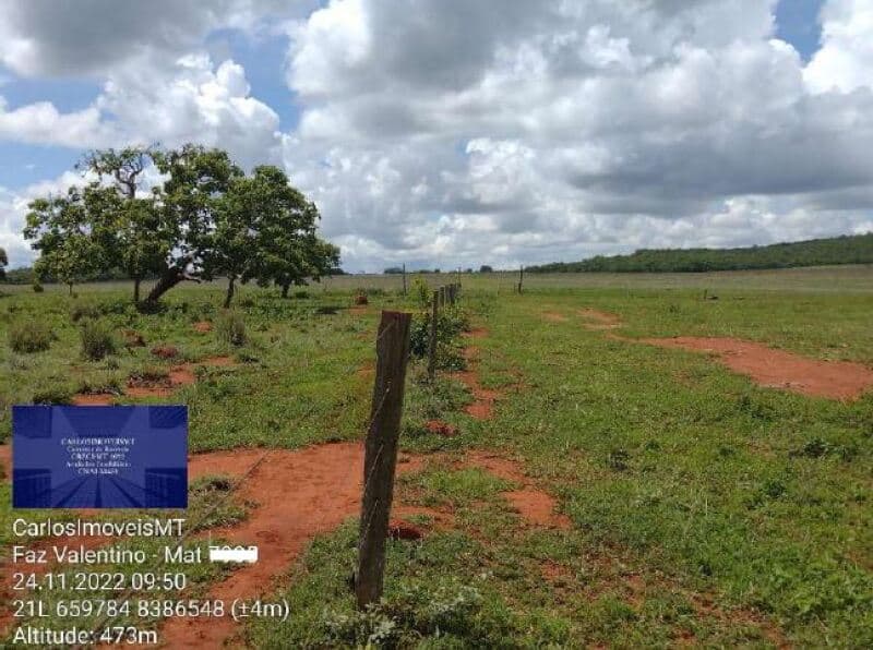 Foto 8 de 22: Area Rural em leilão em Rosário Oeste - MT — LOTE 001 IMÓVEL RURAL COM ÁREA DE 1.899,2700HAS, "FAZENDA VALENTINO", EM ROSÁRIO OESTE/MT