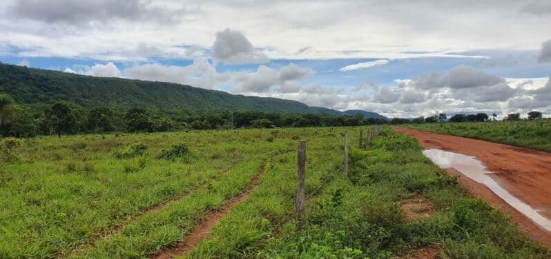 Foto 40 de 41: Area Rural em leilão em Rosário Oeste - MT — LOTE 001 IMÓVEL RURAL COM ÁREA DE 1.899,2700HAS, "FAZENDA VALENTINO", EM ROSÁRIO OESTE/MT