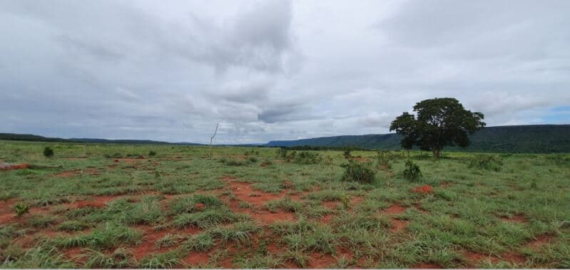 Foto 41 de 41: Area Rural em leilão em Rosário Oeste - MT — LOTE 001 IMÓVEL RURAL COM ÁREA DE 1.899,2700HAS, "FAZENDA VALENTINO", EM ROSÁRIO OESTE/MT