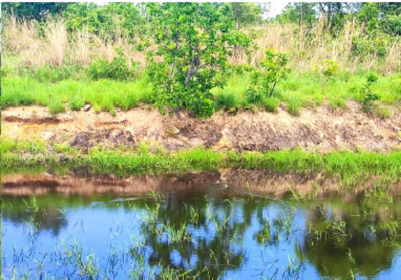 Foto 24 de 33: Terreno em leilão em Cuiabá - MT — LOTE 001 IMÓVEL: ÁREA DE 32,64 HA, PERÍMETRO 4.086,91M- PESQUEIRO
