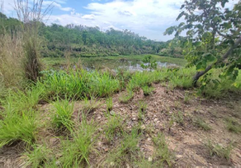 Foto 26 de 33: Terreno em leilão em Cuiabá - MT — LOTE 001 IMÓVEL: ÁREA DE 32,64 HA, PERÍMETRO 4.086,91M- PESQUEIRO