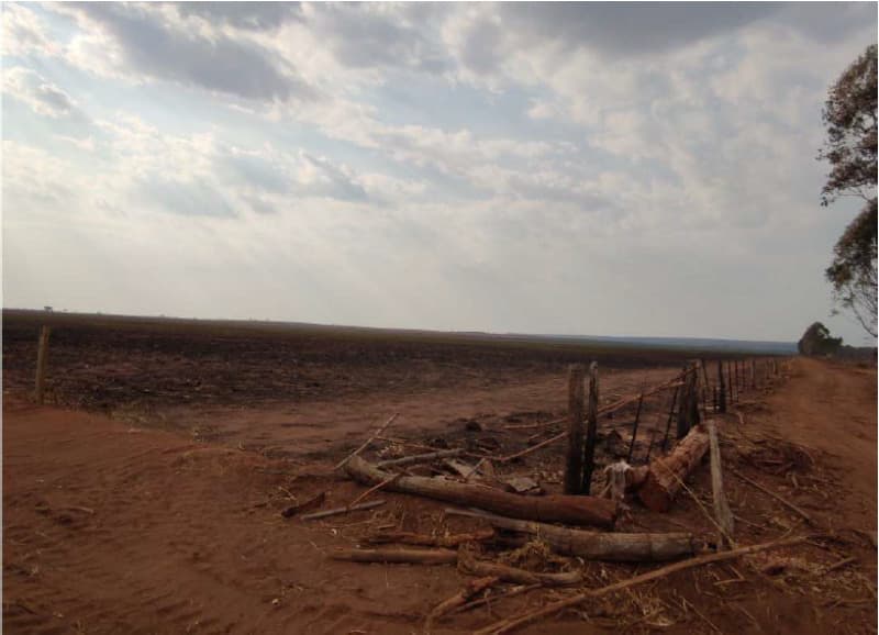 Foto 21 de 26: Area Rural em leilão em Chapada Dos Guimarães - MT — LOTE 001 “IMÓVEL: UMA ÁREA DE TERRAS COM 433,6083 ha, desmembrado da FAZENDA TRÊS PODERES I