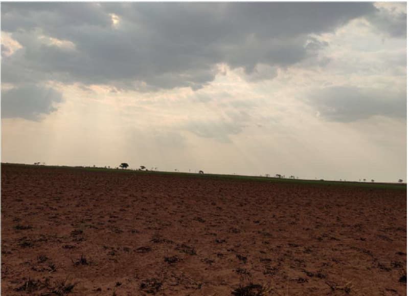 Foto 26 de 26: Area Rural em leilão em Chapada Dos Guimarães - MT — LOTE 001 “IMÓVEL: UMA ÁREA DE TERRAS COM 433,6083 ha, desmembrado da FAZENDA TRÊS PODERES I