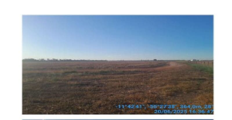 Foto 9 de 20: Area Rural em leilão em Sinop - MT, bairro Lidia — LOTE 001 LEILÃO SICOOB - FAZENDA EM SINOP/MT – 116,326 HECTARES – 15 KM DE SINOP, BEIRA BR-163