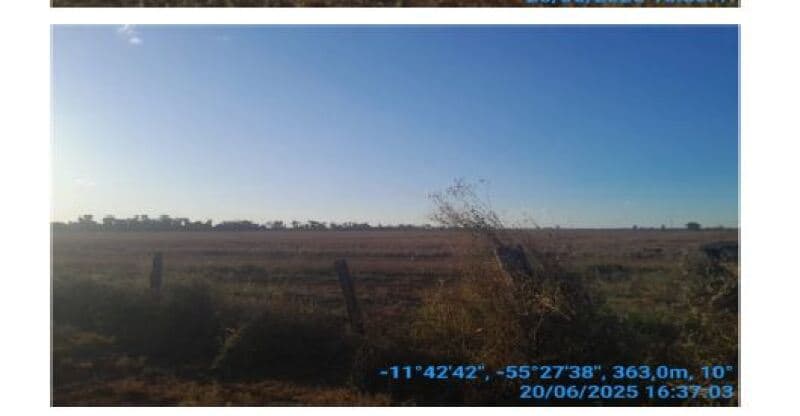 Foto 10 de 20: Area Rural em leilão em Sinop - MT, bairro Lidia — LOTE 001 LEILÃO SICOOB - FAZENDA EM SINOP/MT – 116,326 HECTARES – 15 KM DE SINOP, BEIRA BR-163