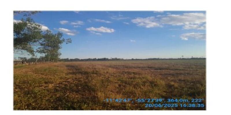 Foto 12 de 20: Area Rural em leilão em Sinop - MT, bairro Lidia — LOTE 001 LEILÃO SICOOB - FAZENDA EM SINOP/MT – 116,326 HECTARES – 15 KM DE SINOP, BEIRA BR-163