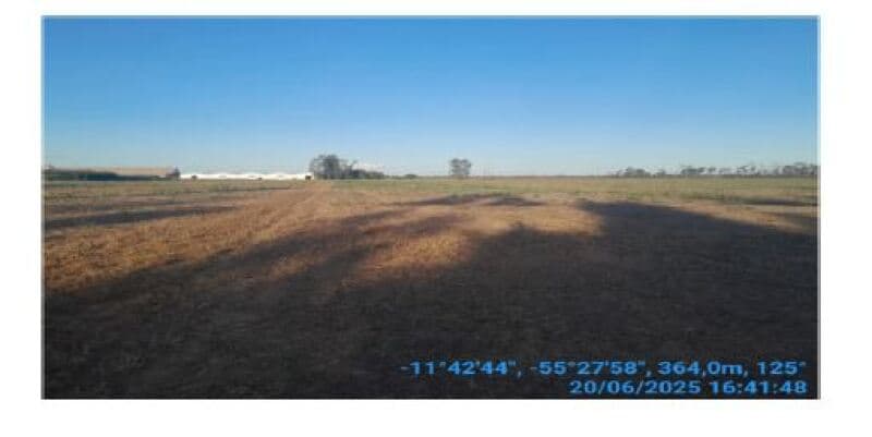 Foto 13 de 20: Area Rural em leilão em Sinop - MT, bairro Lidia — LOTE 001 LEILÃO SICOOB - FAZENDA EM SINOP/MT – 116,326 HECTARES – 15 KM DE SINOP, BEIRA BR-163