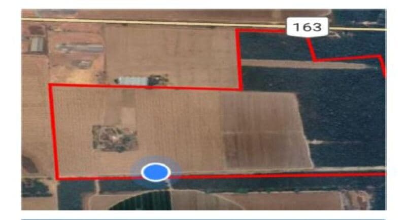 Foto 14 de 20: Area Rural em leilão em Sinop - MT, bairro Lidia — LOTE 001 LEILÃO SICOOB - FAZENDA EM SINOP/MT – 116,326 HECTARES – 15 KM DE SINOP, BEIRA BR-163