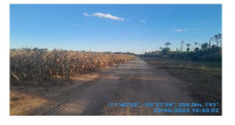 Foto 17 de 20: Area Rural em leilão em Sinop - MT, bairro Lidia — LOTE 001 LEILÃO SICOOB - FAZENDA EM SINOP/MT – 116,326 HECTARES – 15 KM DE SINOP, BEIRA BR-163