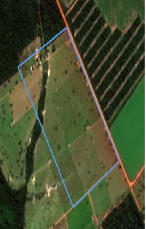 Foto 13 de 15: Area Rural em leilão em Brasnorte - MT — LOTE 001 IMÓVEL RURAL FAZENDA OURO VERDE- 91,9973 ha