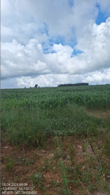Foto 6 de 12: Area Rural em leilão em São José Do Rio Claro - MT — LOTE 001 LEILÃO JUDICIAL -2 VARA DE SÃO JOSÉ DO RIO CLARO GLEBA MASSAPÊ 24,20 HA