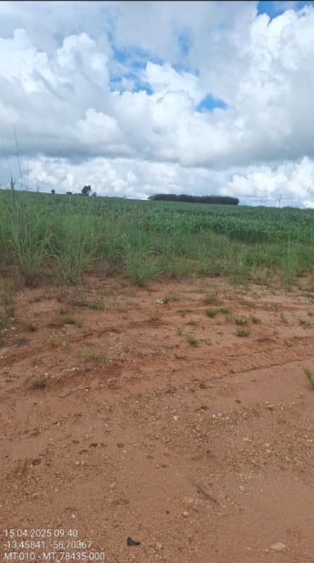 Foto 7 de 12: Area Rural em leilão em São José Do Rio Claro - MT — LOTE 001 LEILÃO JUDICIAL -2 VARA DE SÃO JOSÉ DO RIO CLARO GLEBA MASSAPÊ 24,20 HA