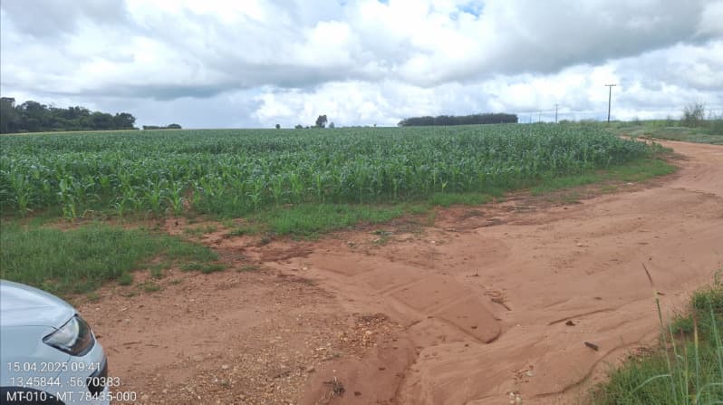 Foto 9 de 12: Area Rural em leilão em São José Do Rio Claro - MT — LOTE 001 LEILÃO JUDICIAL -2 VARA DE SÃO JOSÉ DO RIO CLARO GLEBA MASSAPÊ 24,20 HA