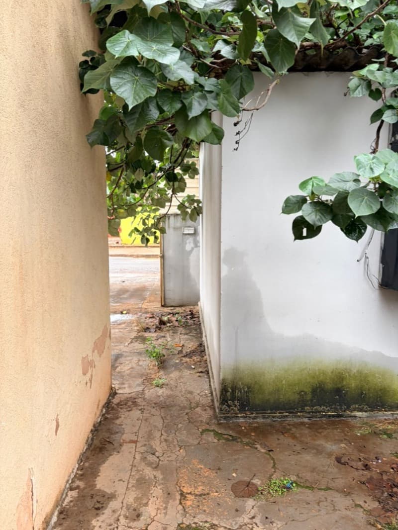 Foto 7 de 43: Terreno em leilão em Campo Grande - MS, bairro Vila Piratininga — LOTE 001 Imóvel residencial com 85m²+60m² em terreno de 360m² (Campo Grande-MS)