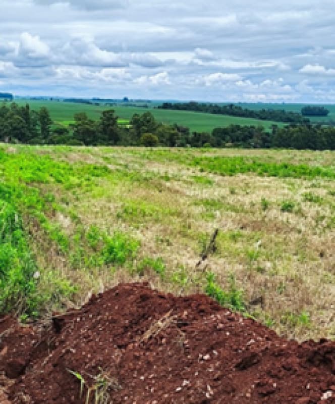 Foto 2 de 7: Terreno em leilão em Cafelândia - PR — LOTE 007 TERRENO COM 36.000M² NO PERÍMETRO URBANO DE CAFELÂNDIA - PR
