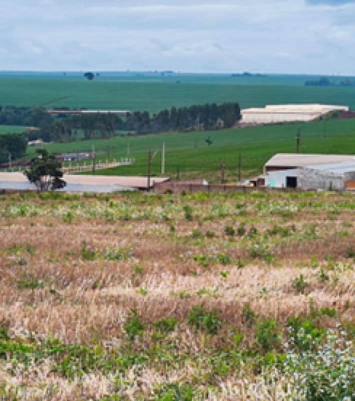 Foto 3 de 7: Terreno em leilão em Cafelândia - PR — LOTE 007 TERRENO COM 36.000M² NO PERÍMETRO URBANO DE CAFELÂNDIA - PR