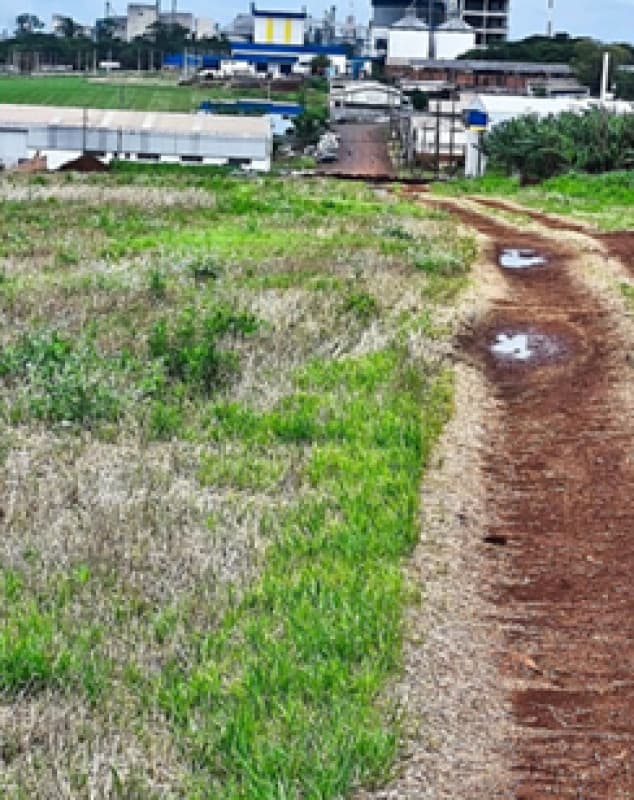 Foto 4 de 7: Terreno em leilão em Cafelândia - PR — LOTE 007 TERRENO COM 36.000M² NO PERÍMETRO URBANO DE CAFELÂNDIA - PR