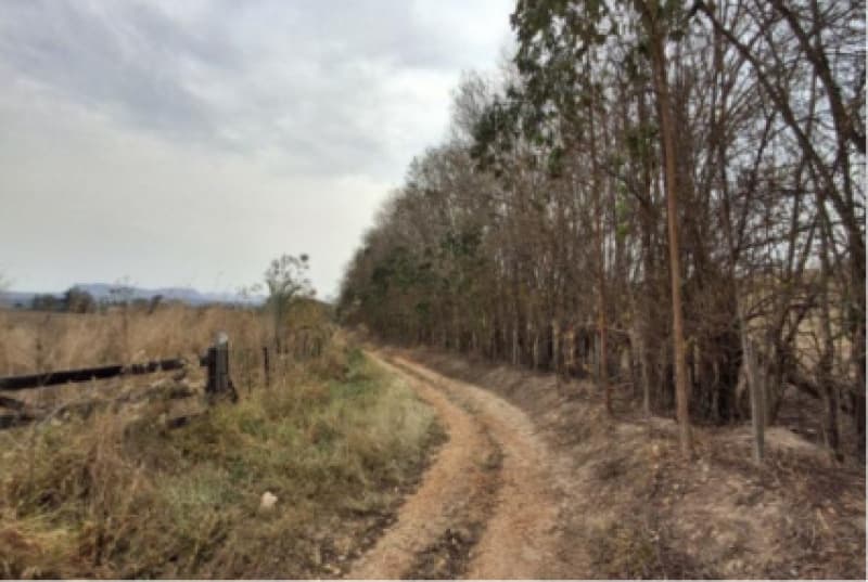 Foto 4 de 5: Terreno em leilão em Porangaba - SP, bairro Carrascal — LOTE 013 Área Rural com 18,85ha (Porangaba-SP)