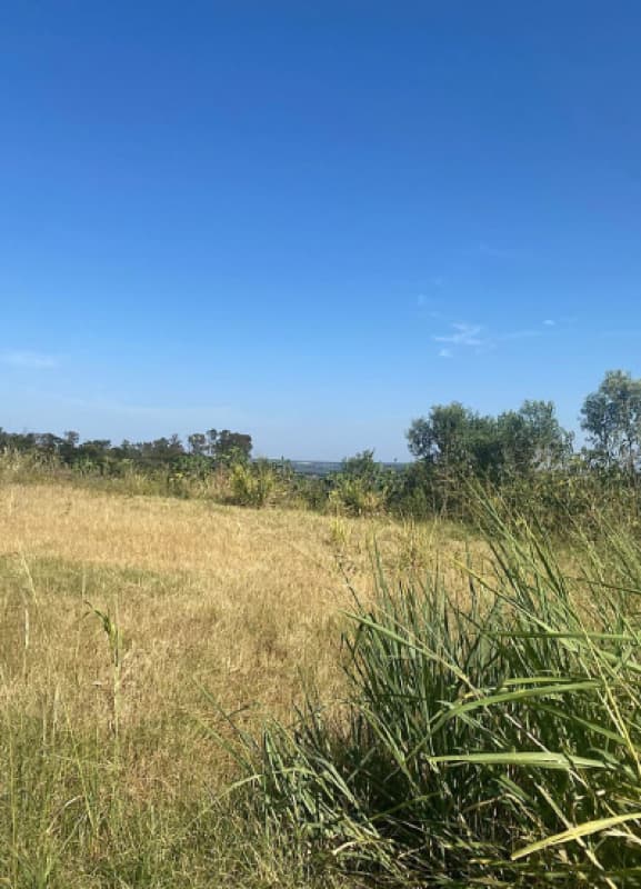 Foto 5 de 5: Terreno em leilão em Jesuítas - PR, bairro Área Industrial — LOTE 030 Terreno industrial com 969,00m² (Jesuítas-PR)